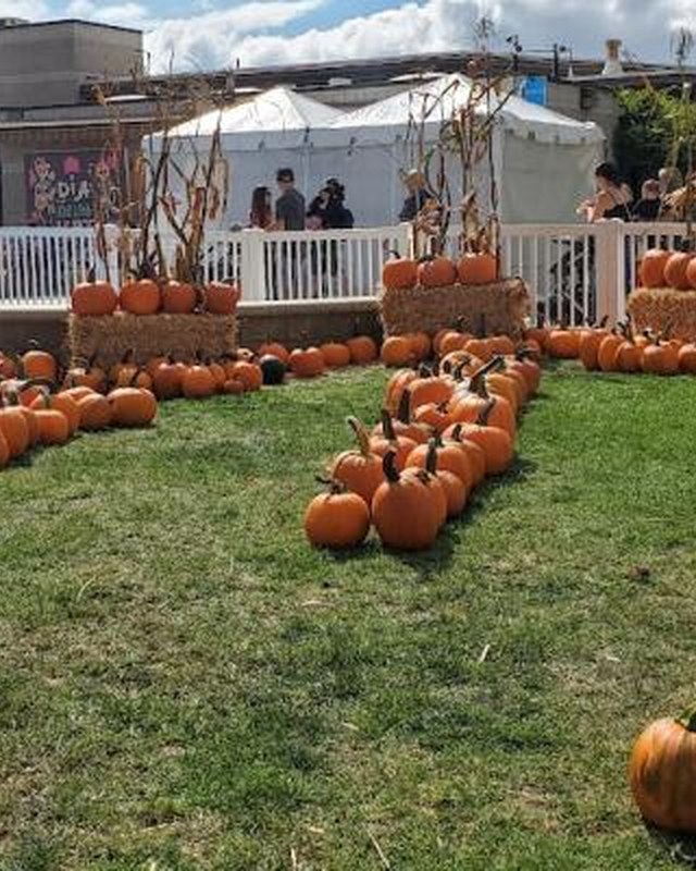 Image for Calabasas Pumpkin Festival