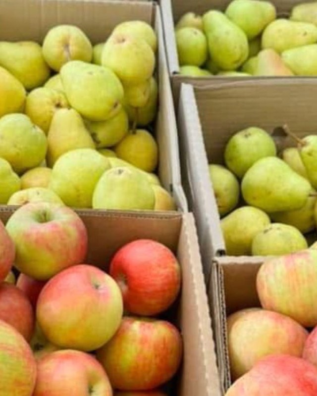 Image for Sandwich - Bourne Farmers Market