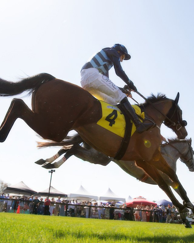 Image for Aiken Spring Steeplechase