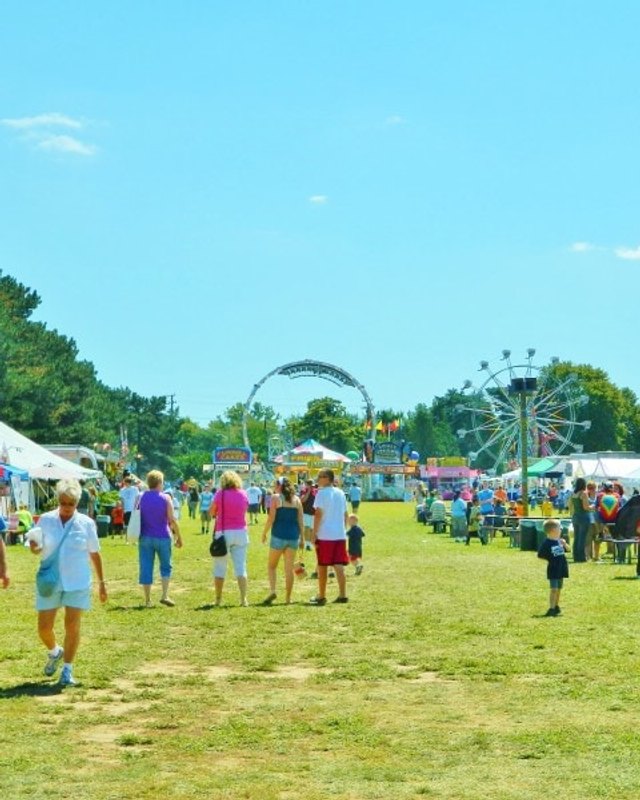 Festival grounds on a sunny day with people strolling between white tents and a Ferris wheel in the distance.