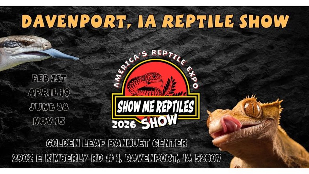 Image for Davenport Iowa Show Me Reptile Show & Exotic Pet Expo