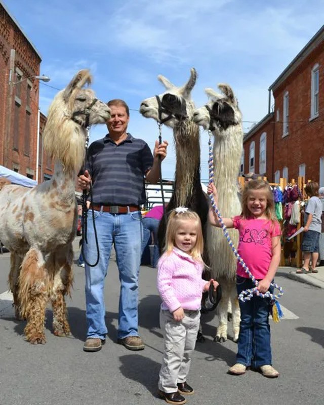 Image for Bluffton Arts & Crafts Festival