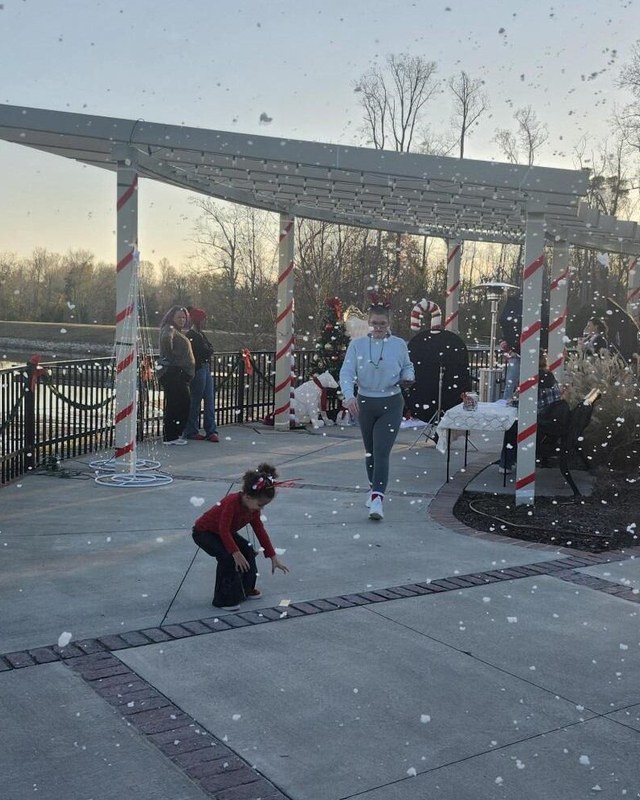 Image for A Langley Pond Christmas
