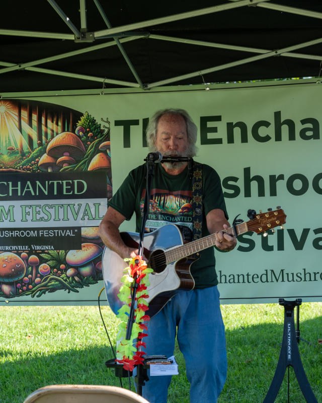 Image for The Third Annual Enchanted Mushroom Festival