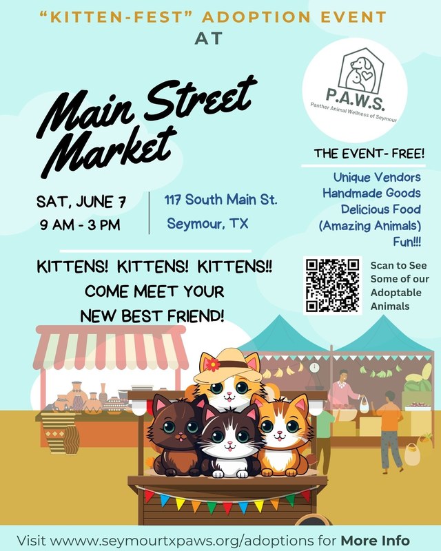 Image for Kitten-Fest @ Main Street Market