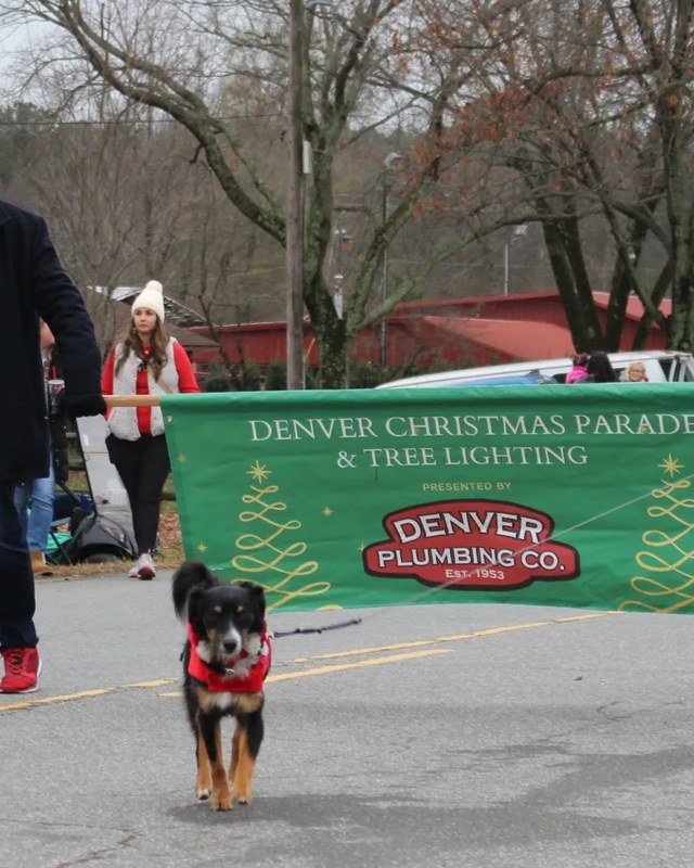 Image for Denver Christmas Parade & Tree Lighting — Miracle on 16