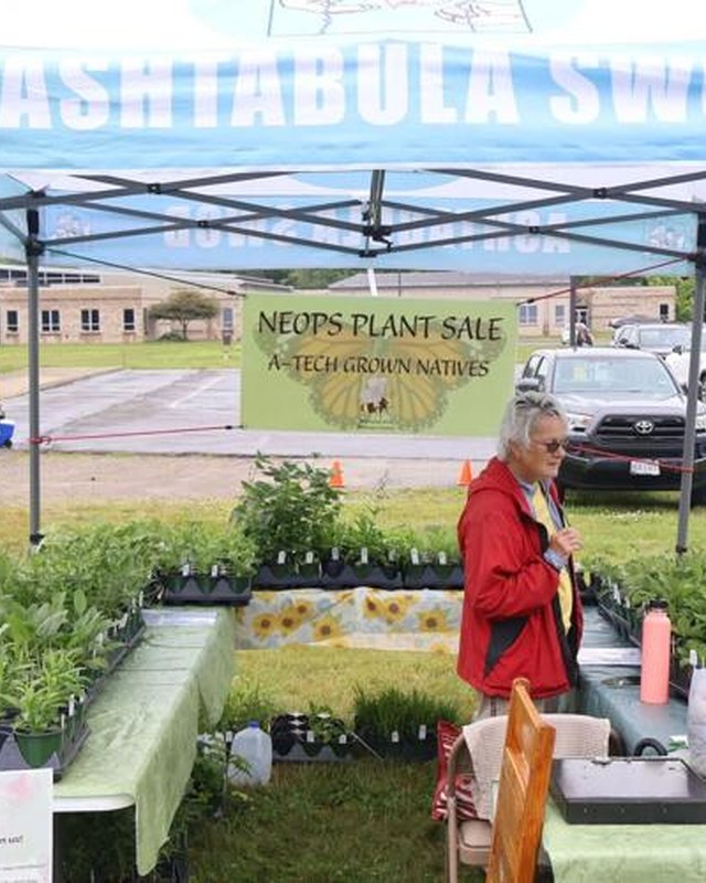 Image for Northeast Ohio Pollinator Festival