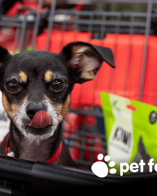 Image for Pet Food Express Pet Fair – San Jose North