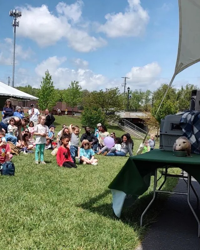 Image for Riverfest
