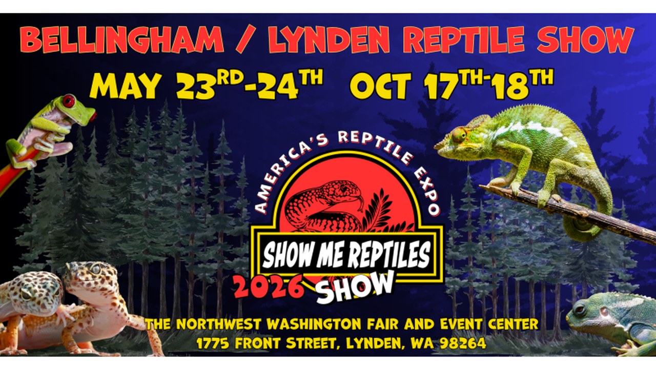 Image for Bellingham Washington Reptile Show