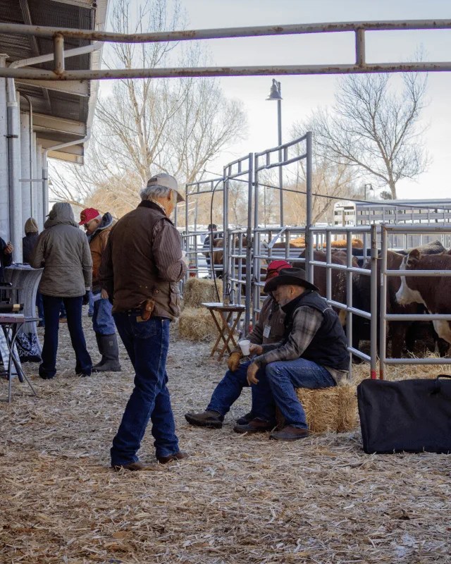 Image for MATE Farm & Ranch Show (MATE Show | Home & Health Expo)