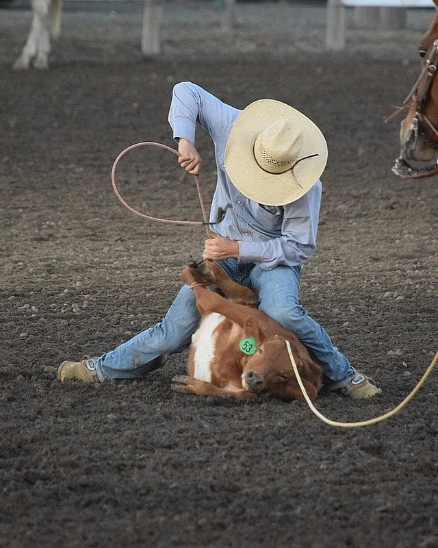 Image for Wheat Land Communities' Fair & Rodeo