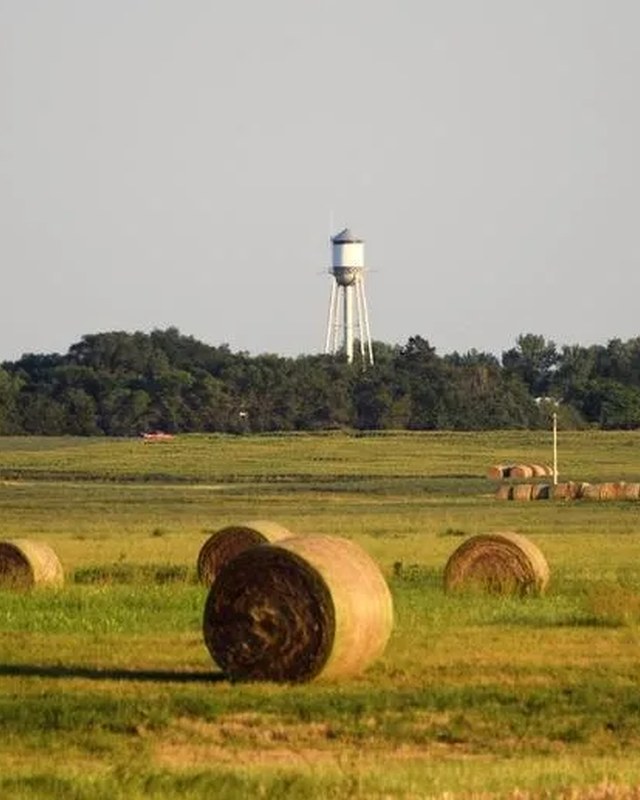 Image for 2026 White Lake Friendship Days