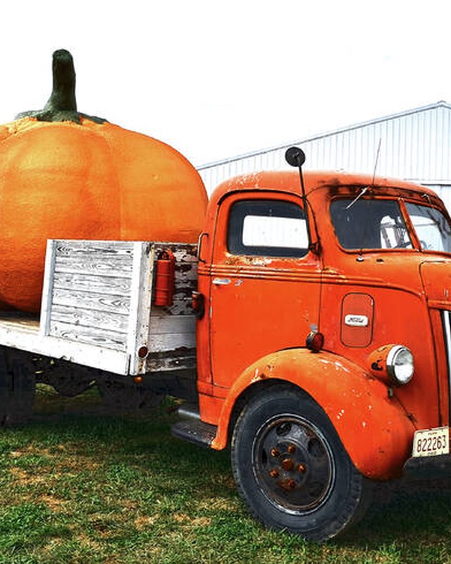 Image for Wheat Ridge Olde Thyme Herb Fair & Harvest Festival