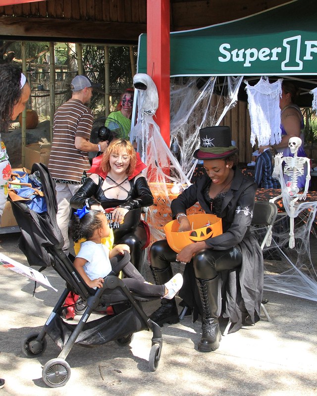 Image for Zoo Boo
