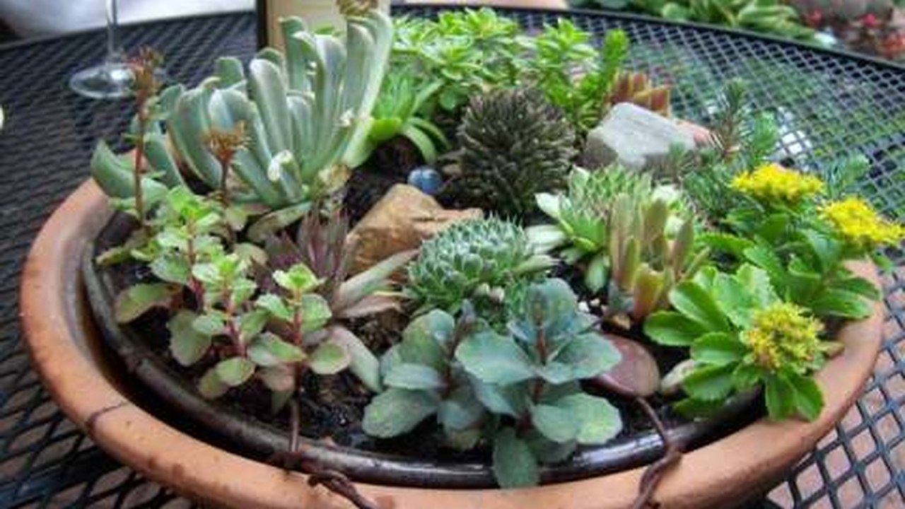 Image for Indiana Flower and Patio Show 2027
