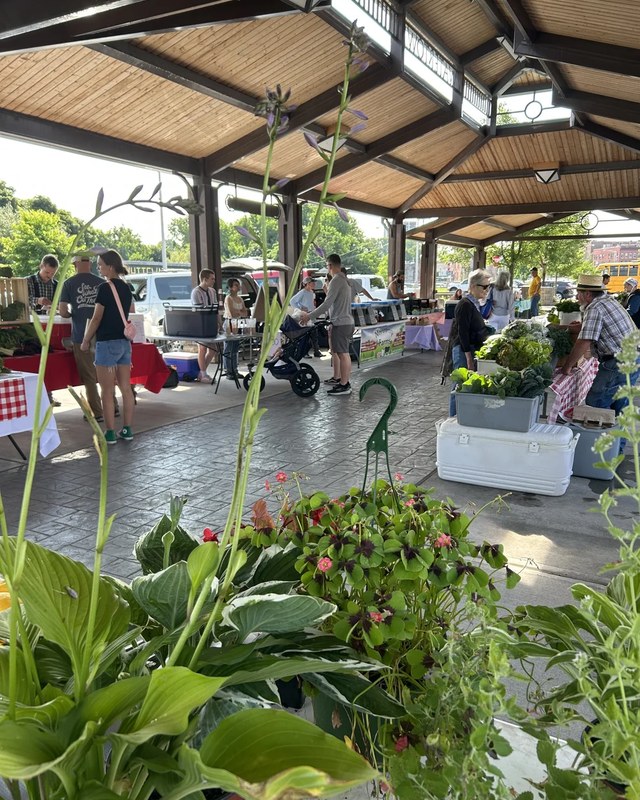 Image for Watertown Saturday Farmers Market