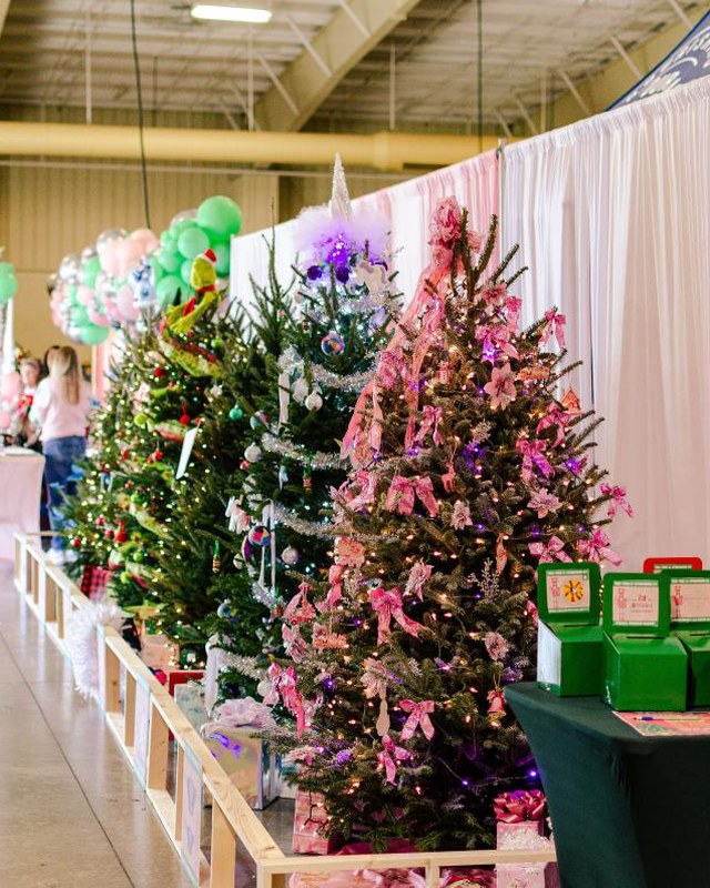 Image for Wilmington Christmas Extravaganza