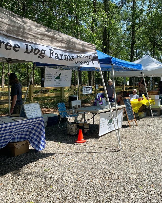Image for The Paddock Farmer's Market