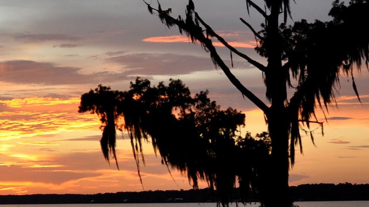 Image for Bayou L'Ourse Community Market