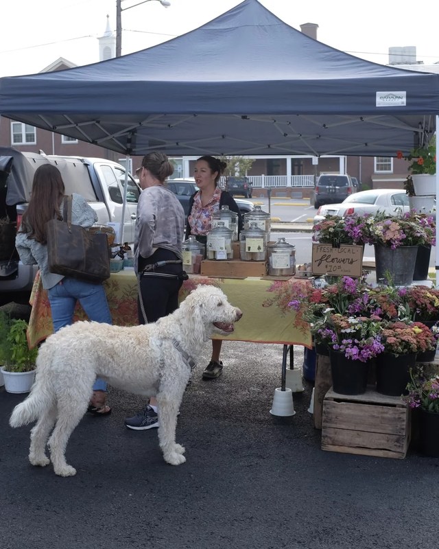 Image for Indiana County Farmers' Market