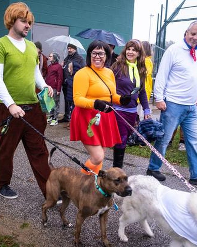 Image for Spooky Pooch Parade 2026