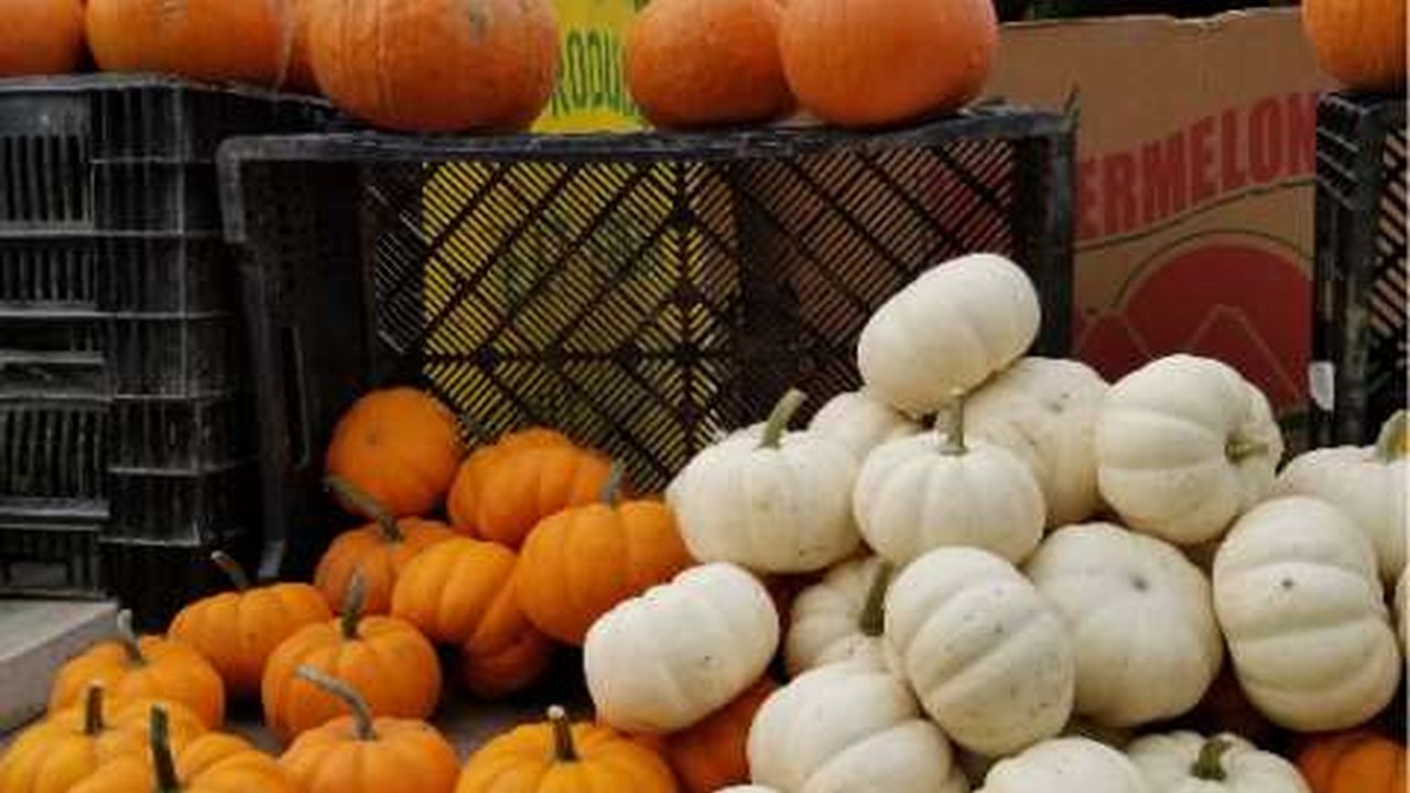 Image for Grayslake Fall Season - November