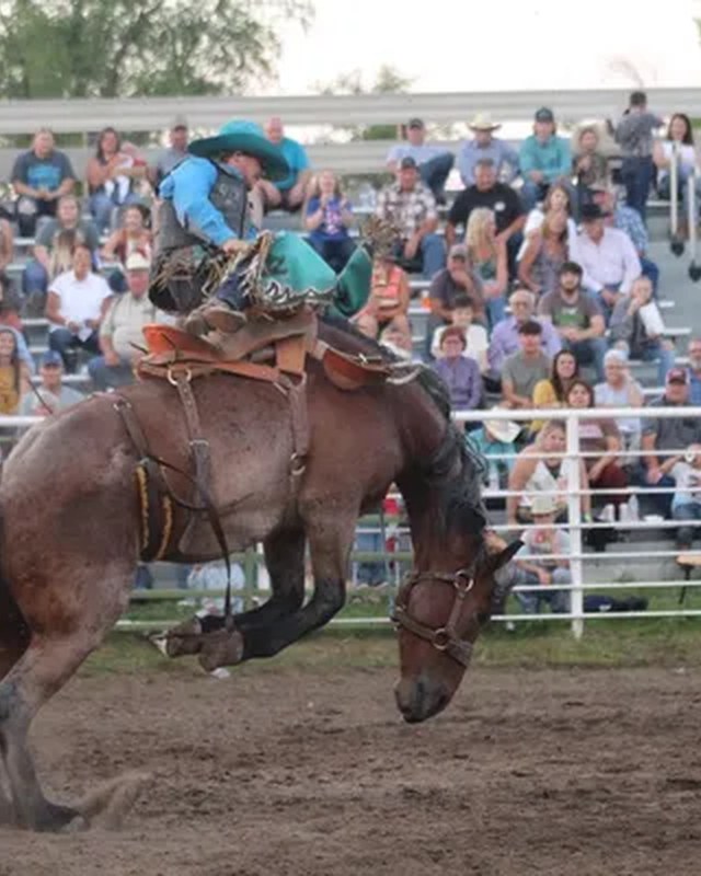 Image for Clearwater's Big Rodeo