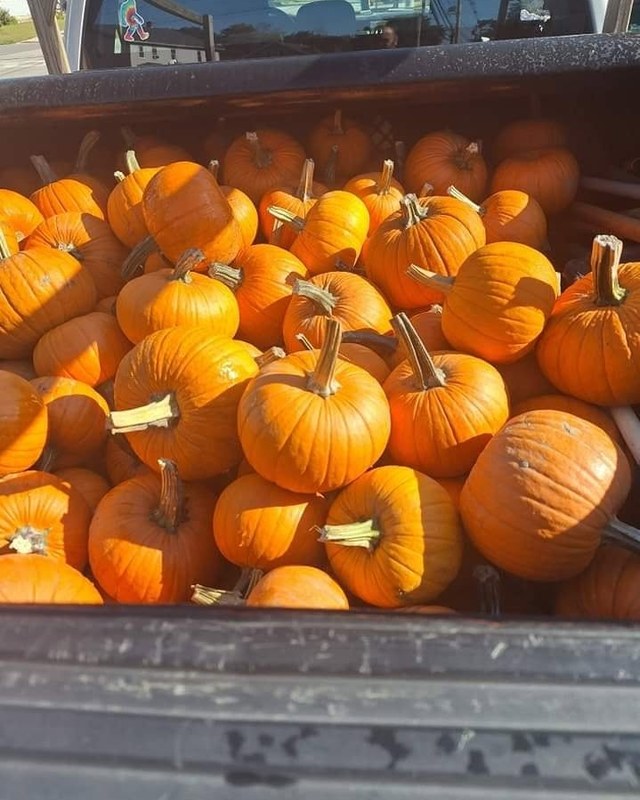 Image for Halloween Spooktacular & Pumpkin Patch