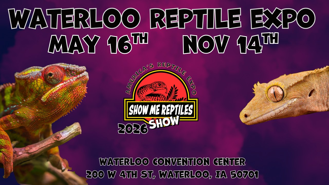 Image for Waterloo Reptile Expo