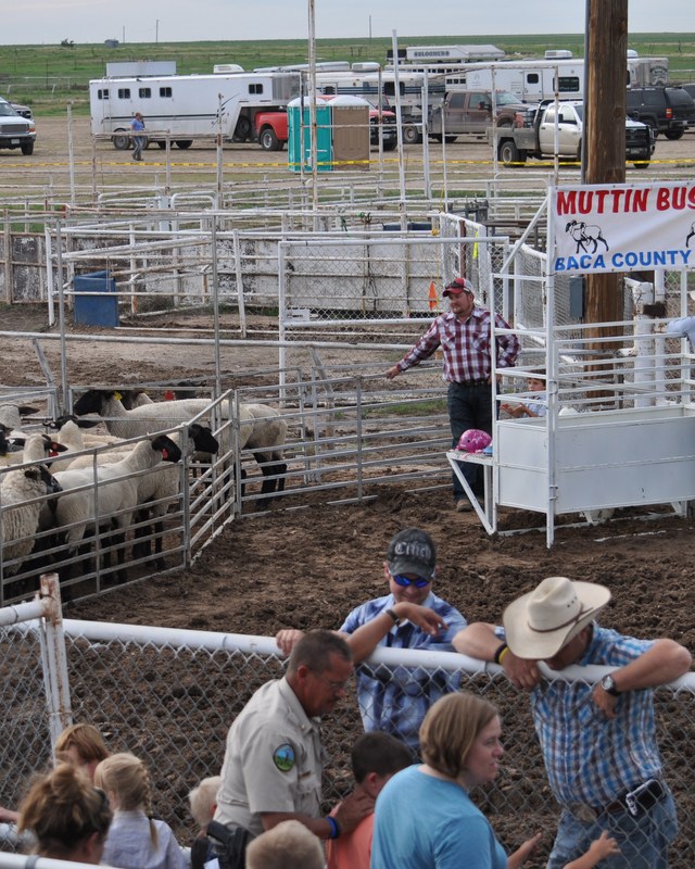Image for Baca County Fair & Rodeo