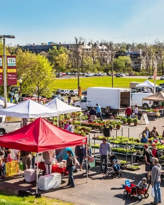 Image for Second Saturdays at the Downtown Rochester Farmers' Market