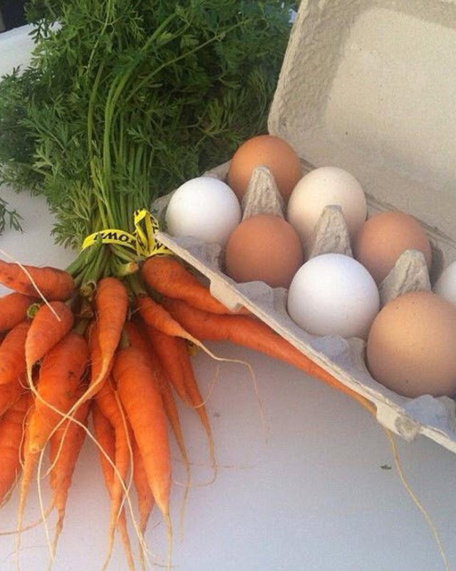 Image for Bodega Bay Farmers Market