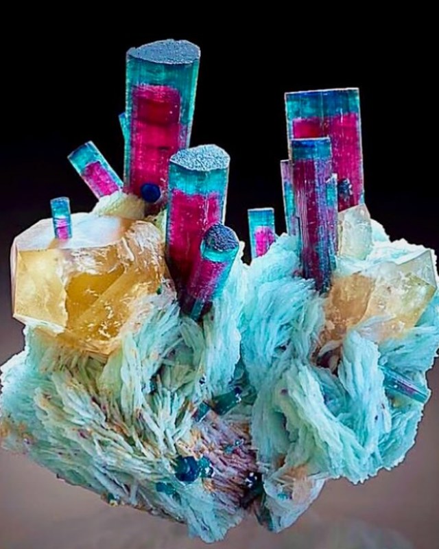 Image for Tallahassee Gem Show