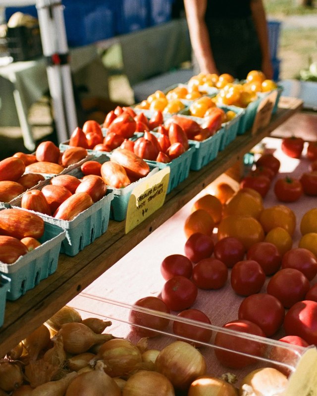 Tomatoes, peppers and onions displayed in cartons and bins on a market stall at the Yarmouth Farmers Market.
