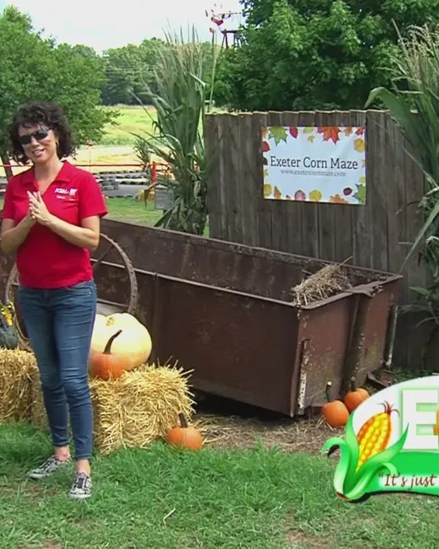 Image for Exeter Corn Maze Craft Fair & Car Show