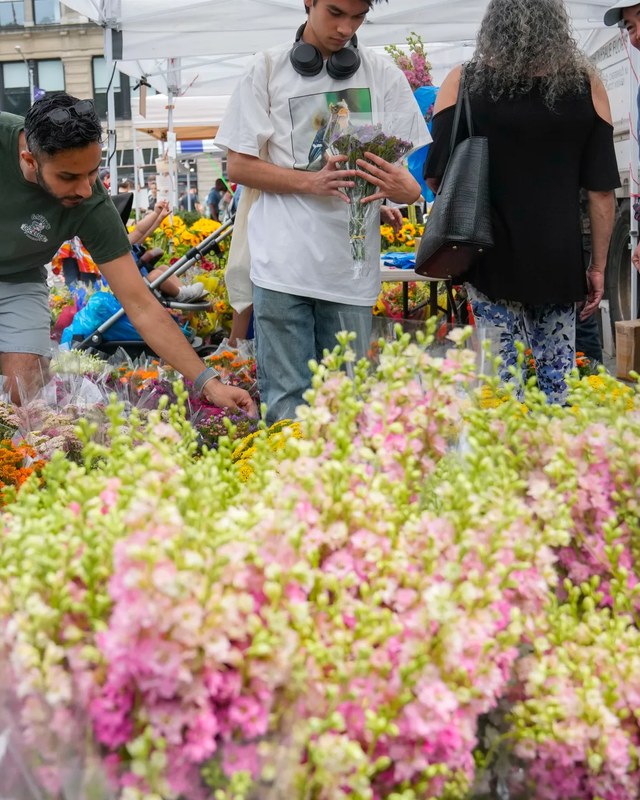 Image for Olathe Farmers Market