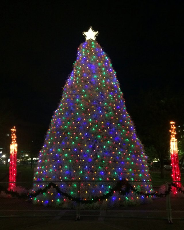 Large downtown Christmas tree covered in colored lights at night, with light poles on either side.