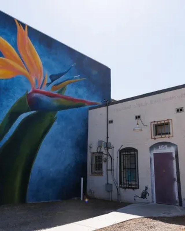 Image for Alley Cat Art Fest