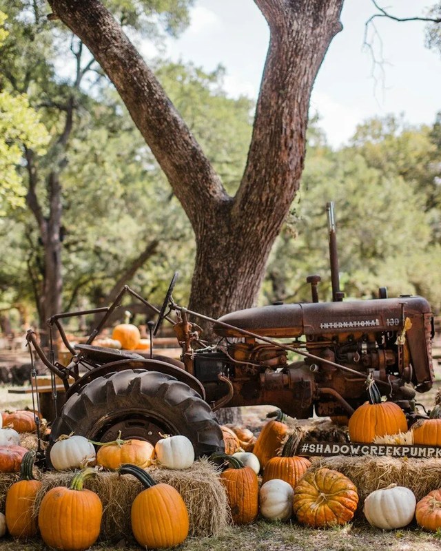 Image for Fall Food Truck Festival