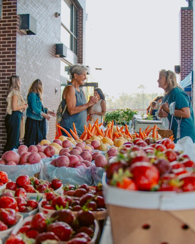 Image for Fall Market