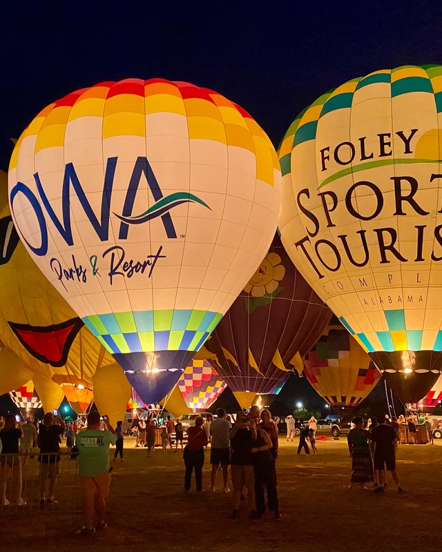 Image for Gulf Coast Hot Air Balloon Festival