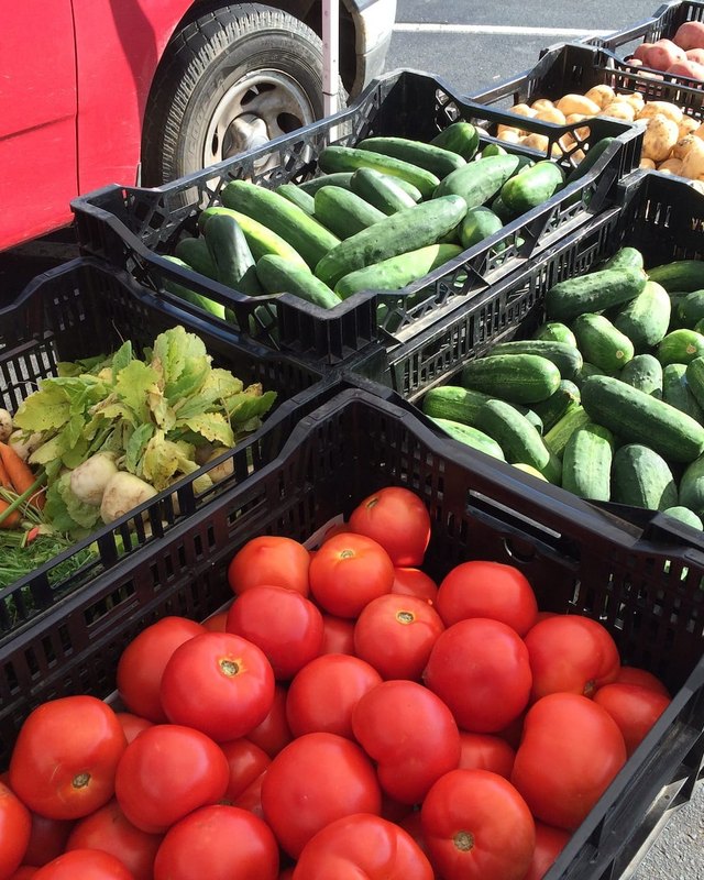 Crates of tomatoes, cucumbers, carrots and greens on display at an outdoor farmers market stand.