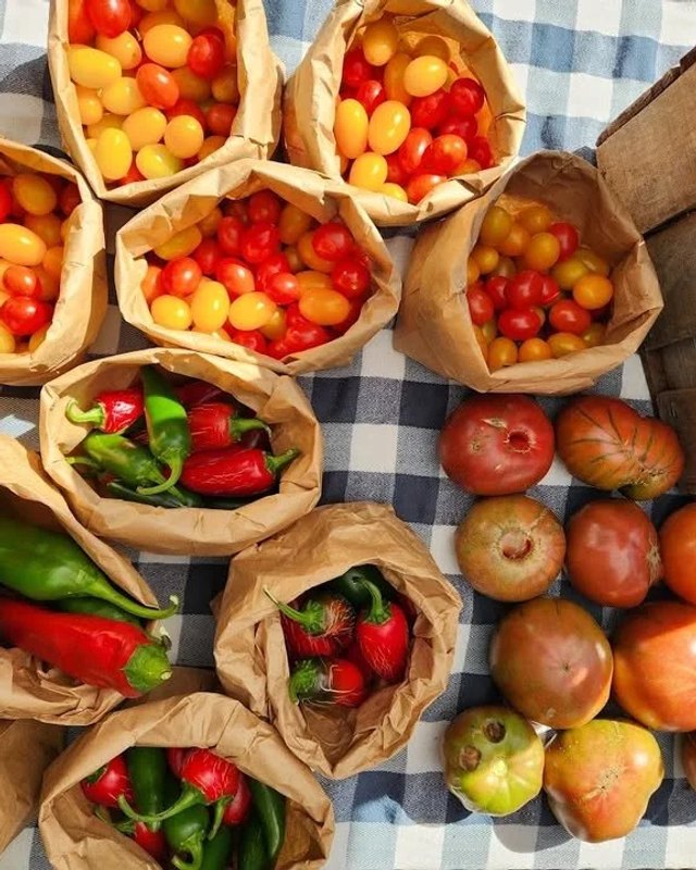 Paper bags of cherry tomatoes and peppers, plus whole tomatoes, on a blue checkered cloth beside a wooden crate of fresh produce.