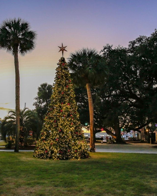 Image for Hilton Head Island Christmas Tree Lighting