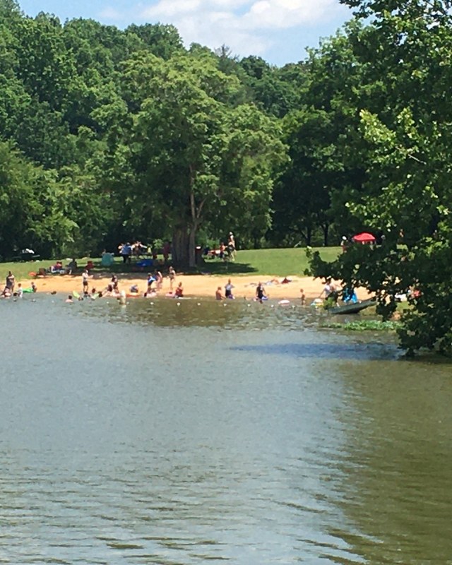 Image for A Day in the Park