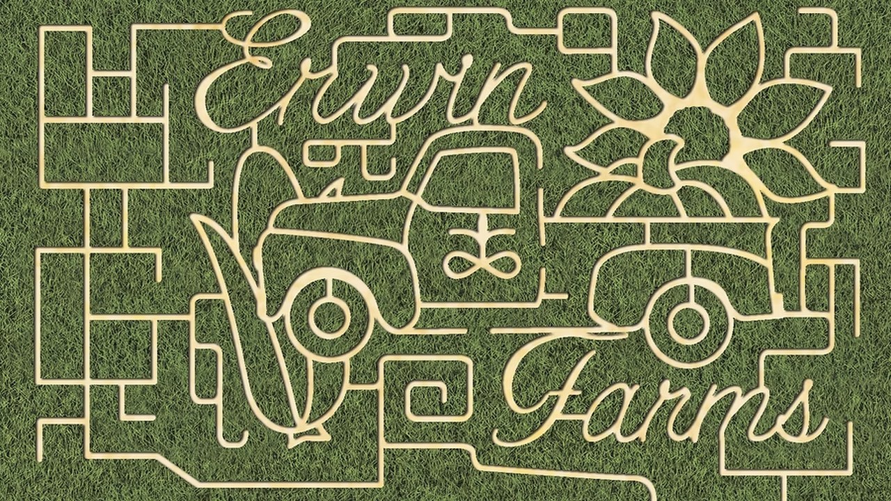 Image for Erwin Farms Fall Festival & Corn Maze