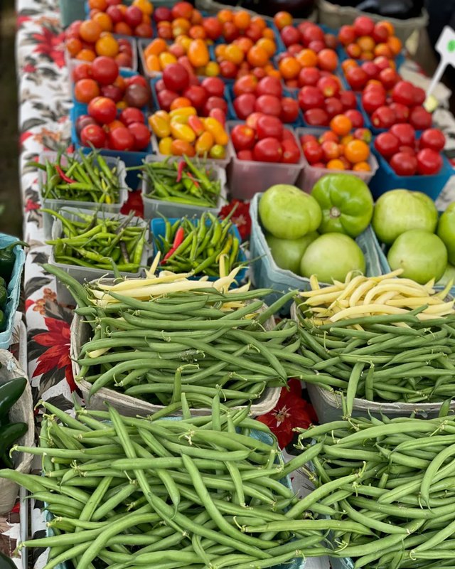 Bins of red tomatoes, green beans and yellow wax beans for sale at a farmers market stand.