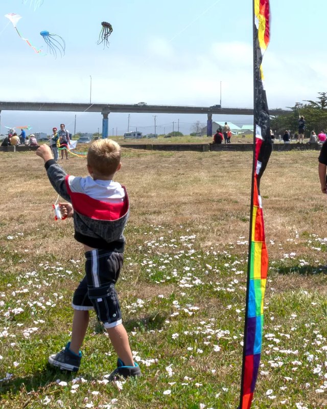 A boy in a red-and-black jacket raises his arm to fly a kite on a grassy field with a colorful streamer and spectators in the background.