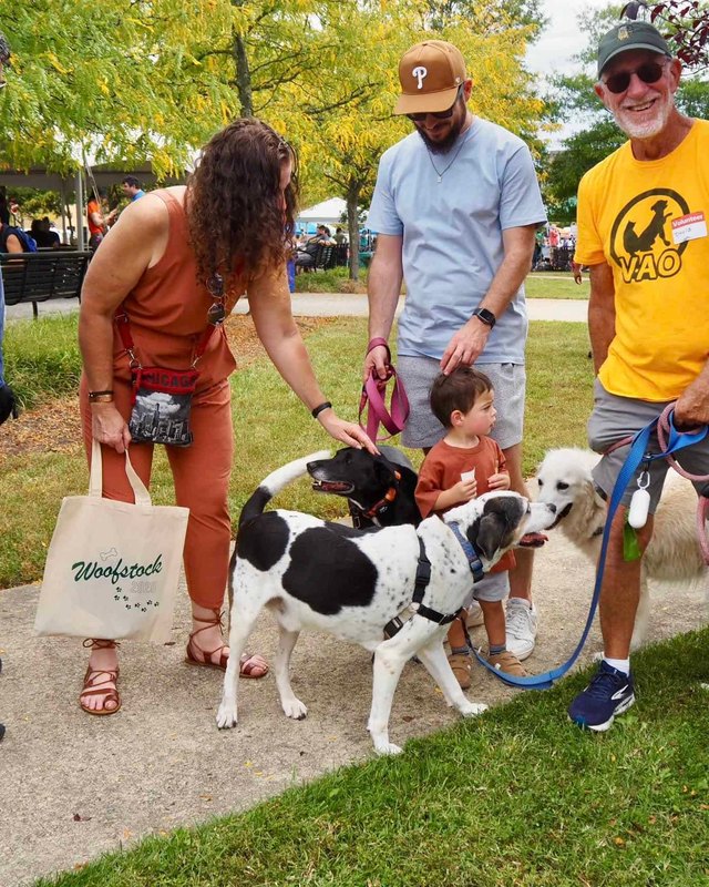 Visitors with dogs on leashes gathered on a grassy lawn at the Woofstock festival
